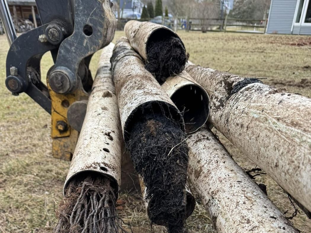 Biomat buildup blocking a leach field distribution pipe